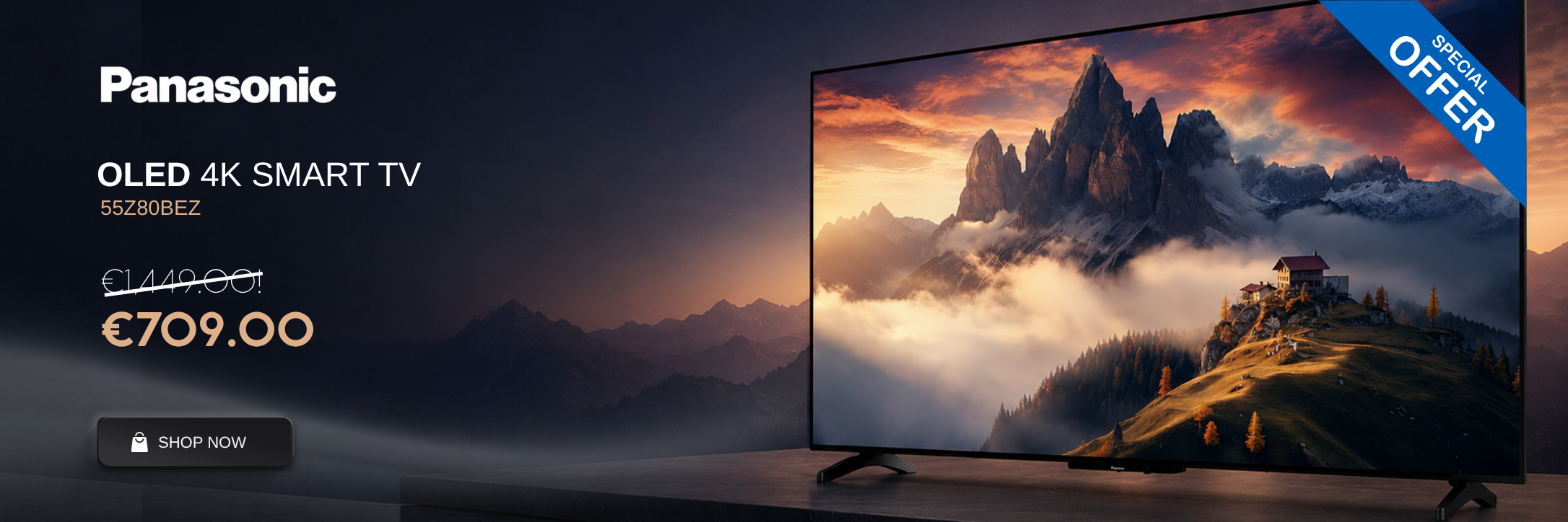 Panasonic/PANASONIC 2172X600.png